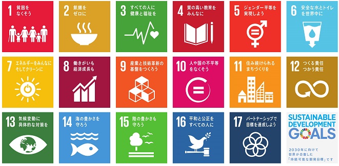 SDG Banner